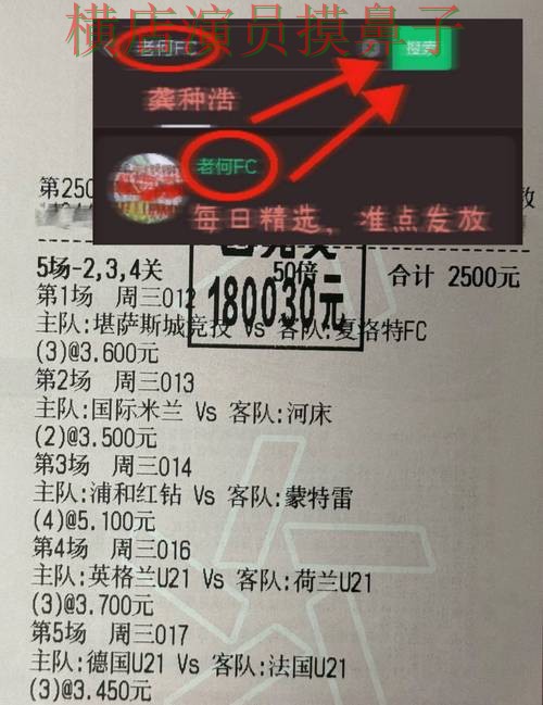 全面分析世界杯投注网站大全：从稳定性评测到直播观看全流程解析 - 世界杯赛事中心